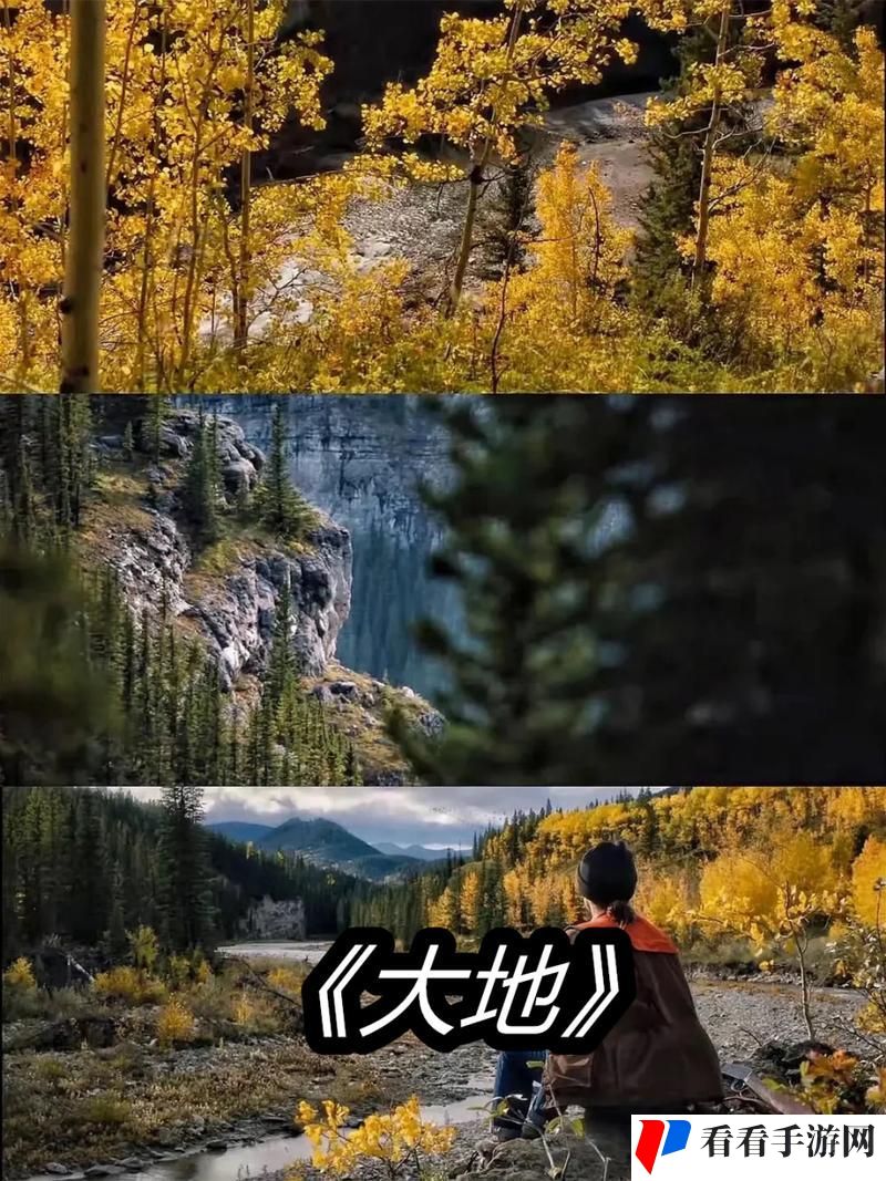 大地资源二中文在线播放