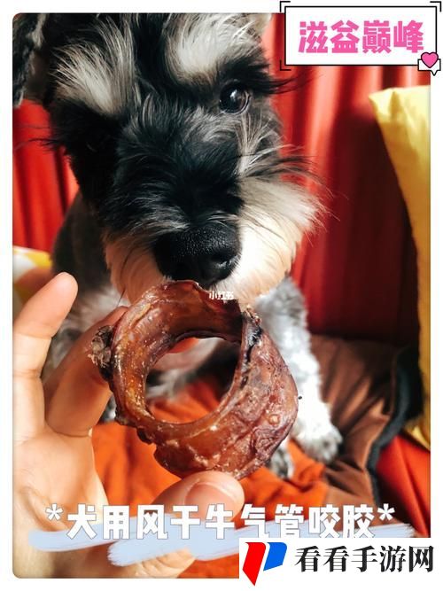 美国人与动物胶配方有几种