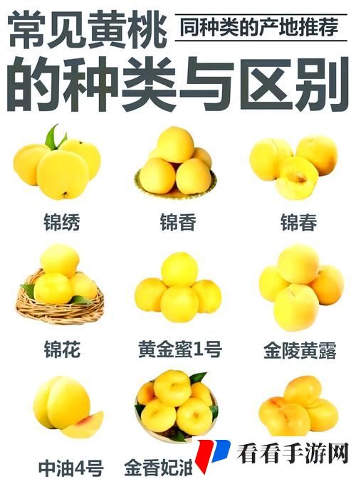 蜜桃精产国品一二三产区区别9