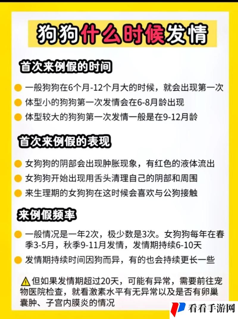 狗狗交配时会锁住多长时间