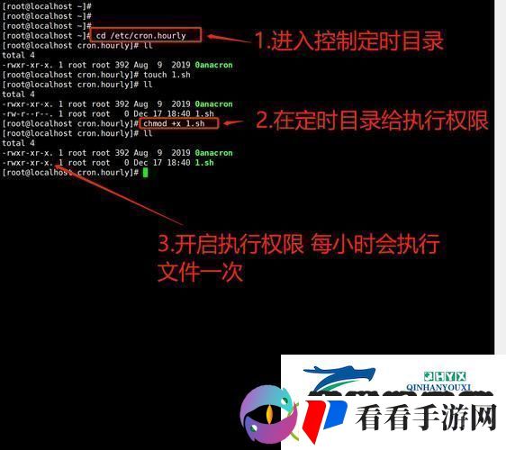 “定时定时！定时……”