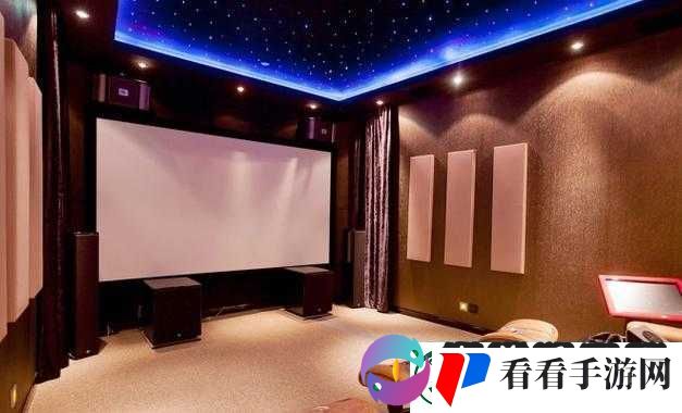舒适私人家庭影院