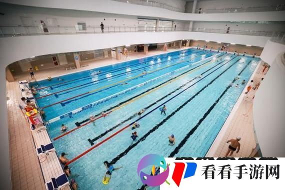 游泳池的特殊待遇2