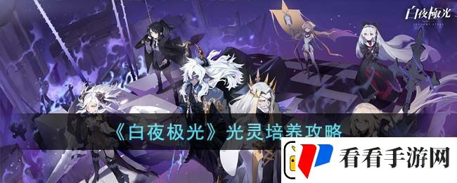 白夜极光光灵培养攻略