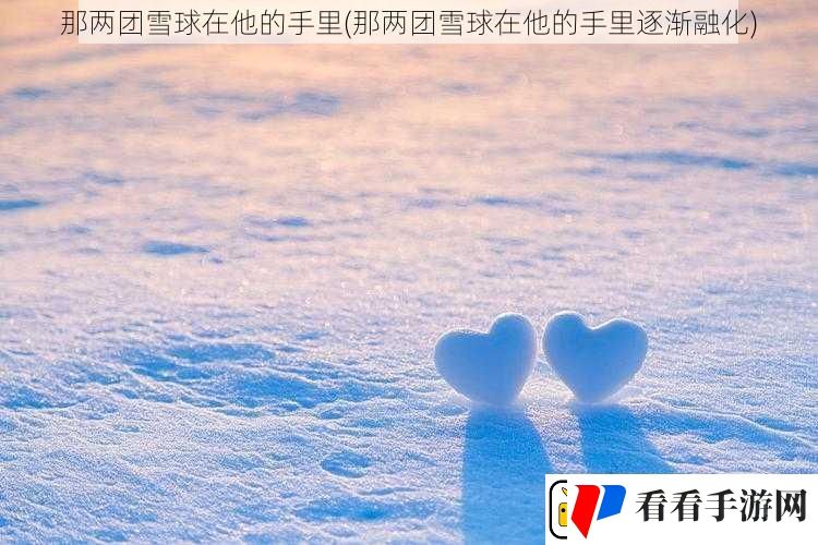 那两团雪球在他的手里