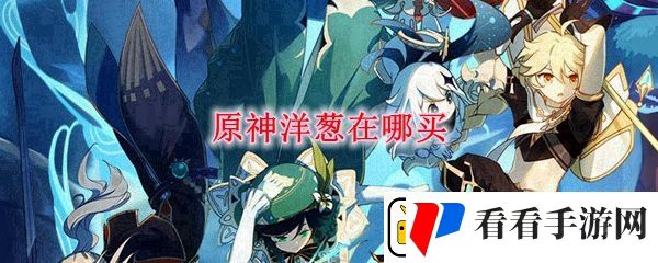 原神洋葱在哪买