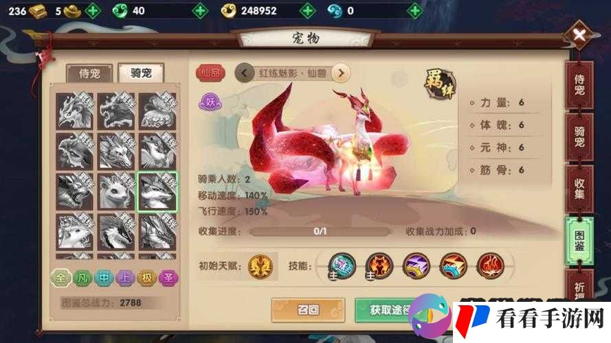骑宠飞升进化指南：详解寻仙手游攻略