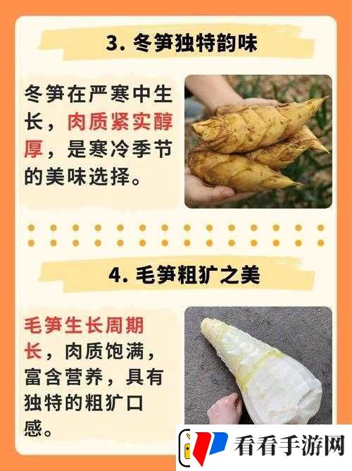 迷你世界竹笋获取攻略