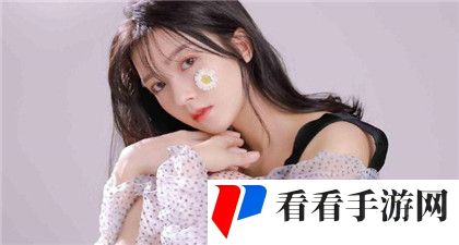 4虎cvt4wd入口:工作原理优势与应用