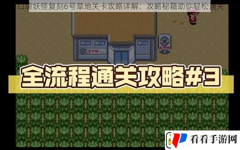 口袋妖怪复刻6号草地关卡攻略详解