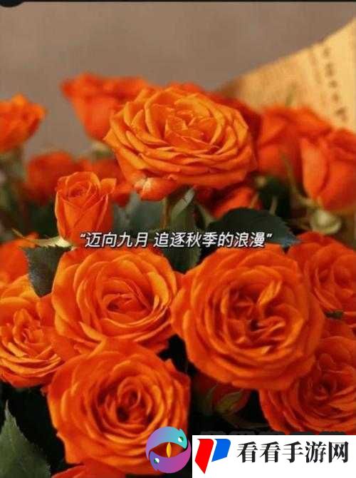 就去吻九月在线:一场浪漫的追寻
