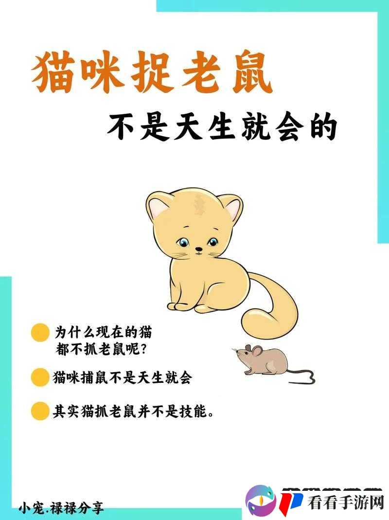 为什么我的猫总是抽不到技能