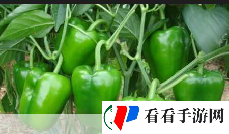 青椒影视2.6.5新功能震撼发布