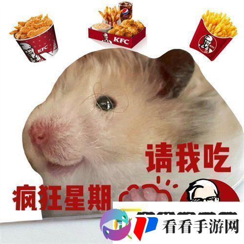疯狂星期四肯德基v50文案大全最新2024