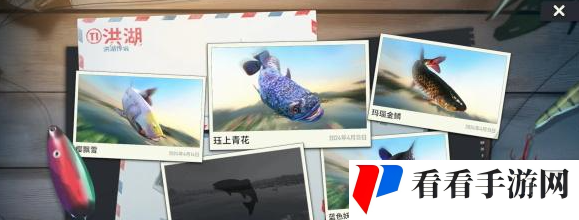 《欢乐钓鱼大师》稀有鱼怎么钓