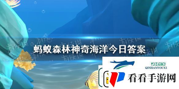 以下哪种蟹会养殖细菌神奇海洋2月18日答案
