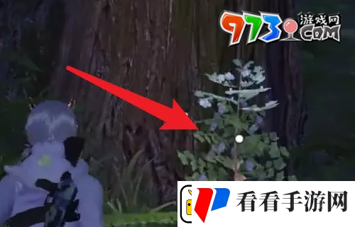 黎明觉醒草木纤维怎么获得草木纤维获取方法