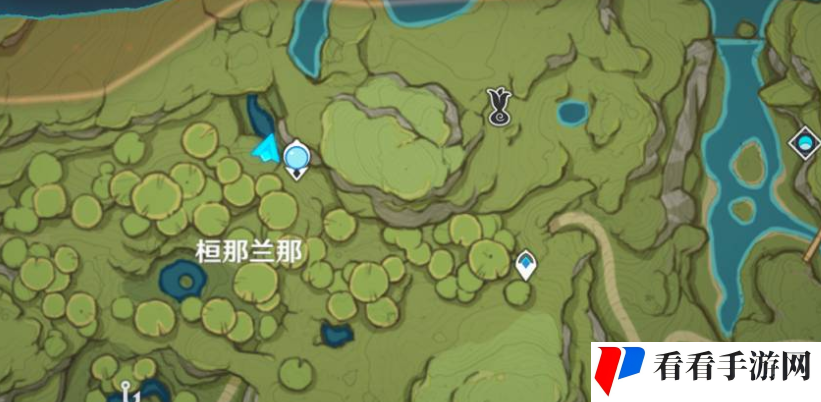《原神》须弥梦之树供奉奖励一览