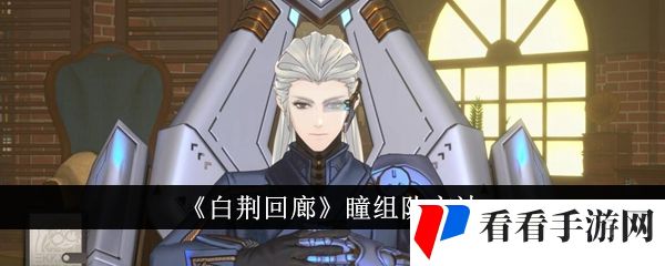 《白荆回廊》瞳组队方法