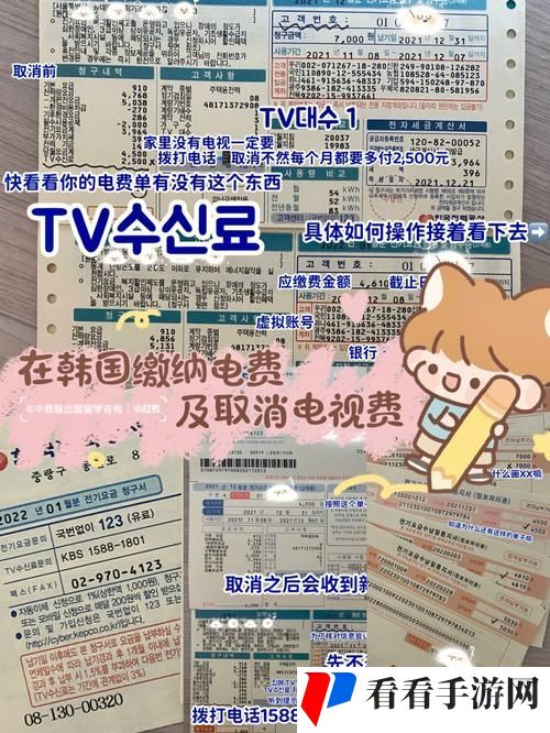好看的韩国三色电费2024