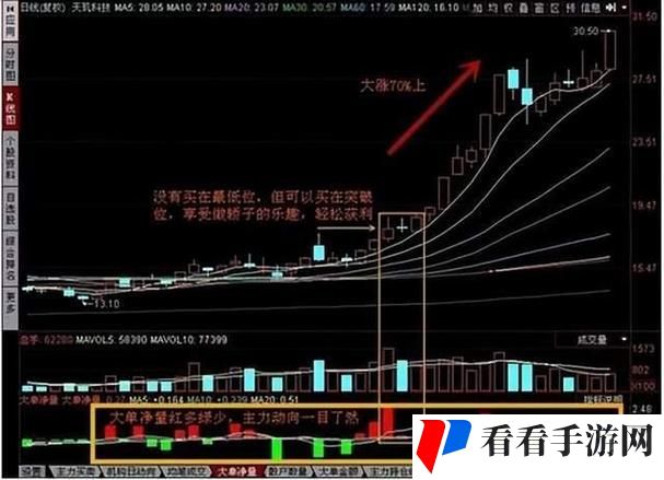 两阳夹双阴