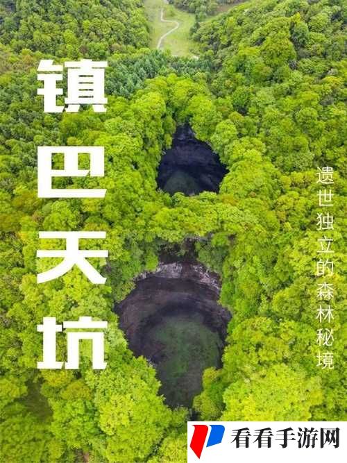 大地资源三在线观看8