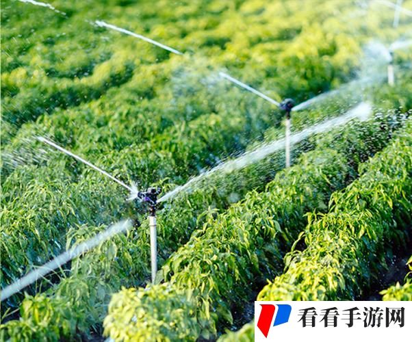 优质jing液灌溉系统