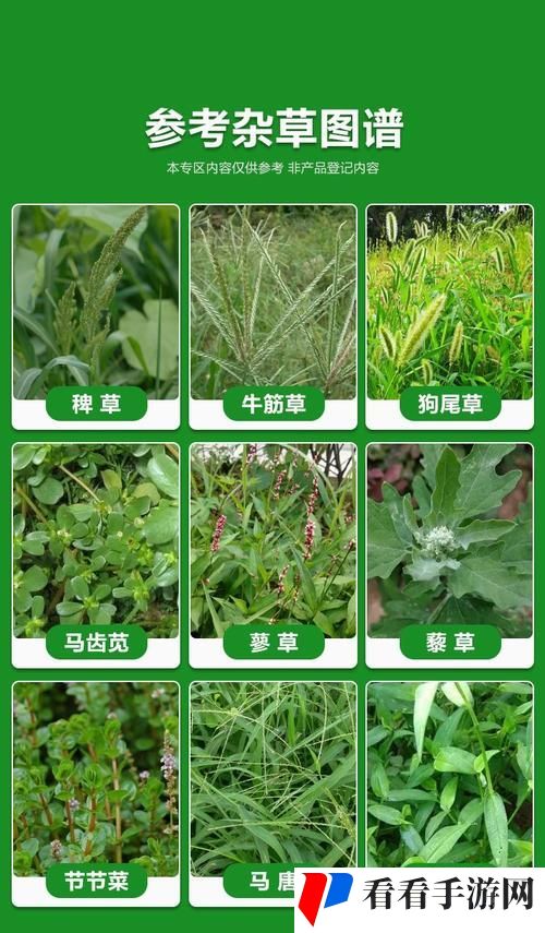 嫩草一产区和二产区