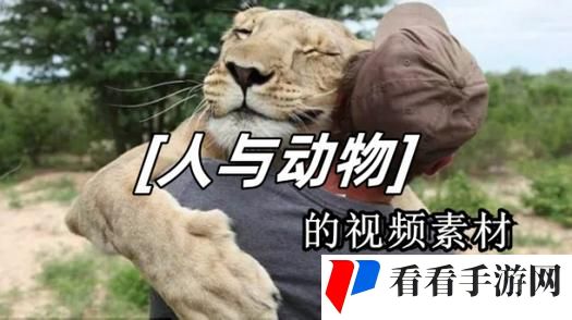 人物动物互动39集免费观看