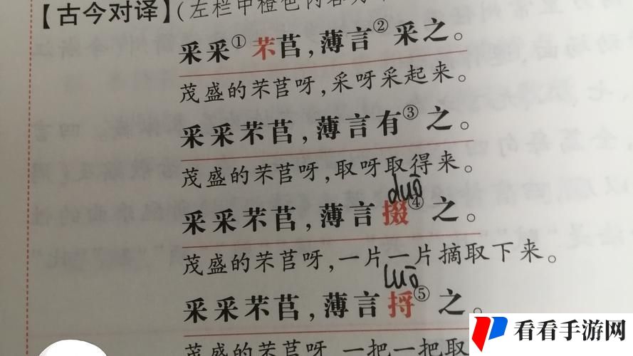 扌桑辶畐的背景故事