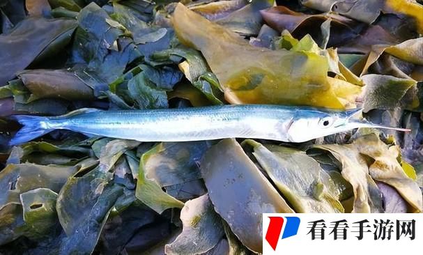 91在线**精品秘入口污鱼功能强大