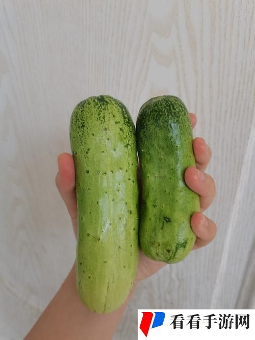 18水蜜桃与大黄瓜