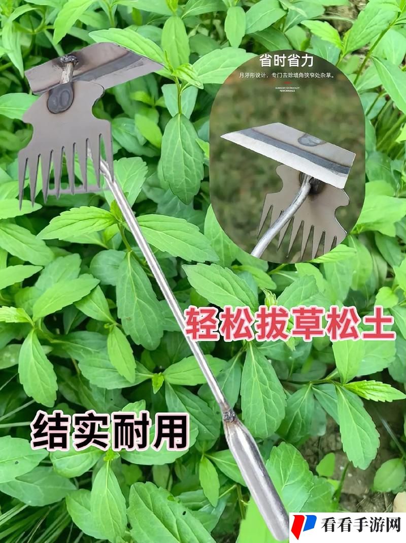 17c.c-起草工具