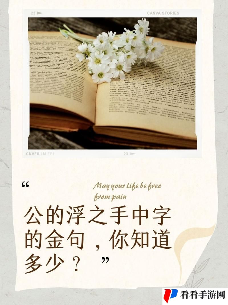 公的浮之手中字