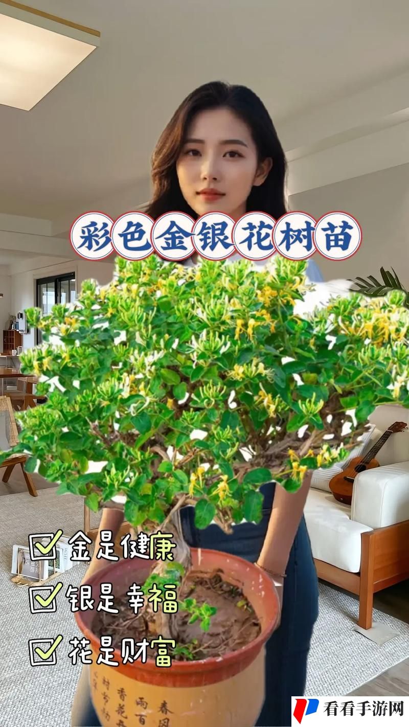 大佬们1v3金银花