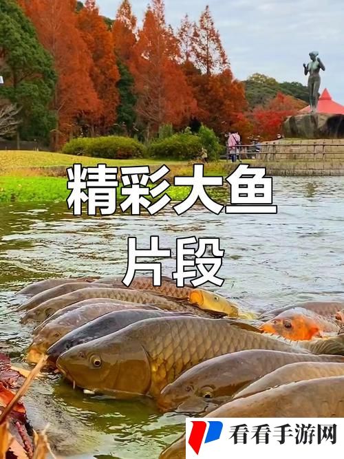 大鱼免费完整版视频