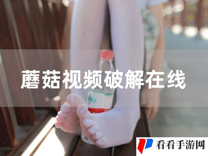 蘑菇视频网页版入口怎么打开